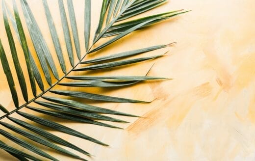 Link to the What is Palm Sunday? post