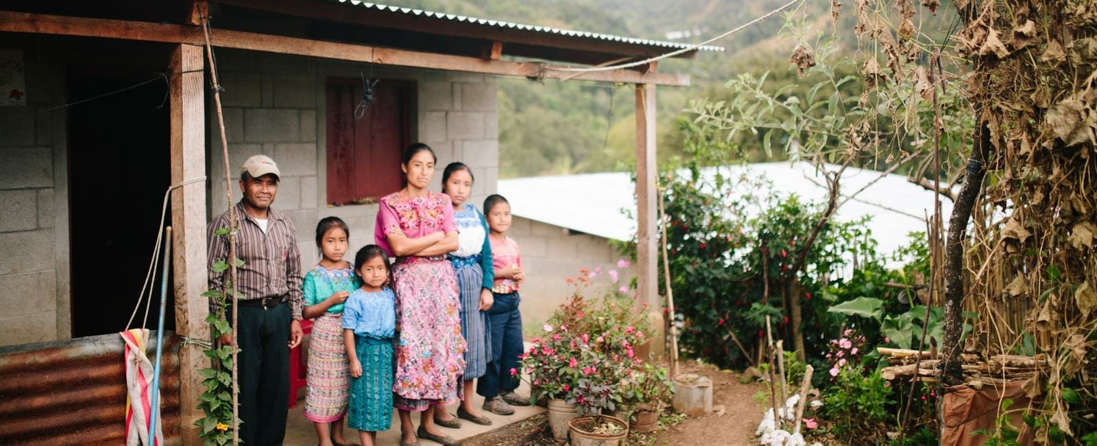 Decorative image for page header