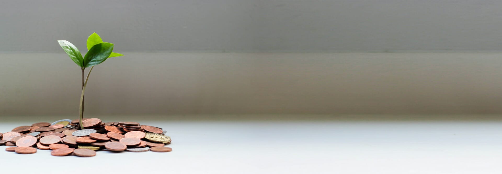 Dekoracyjny obraz nagłówka strony