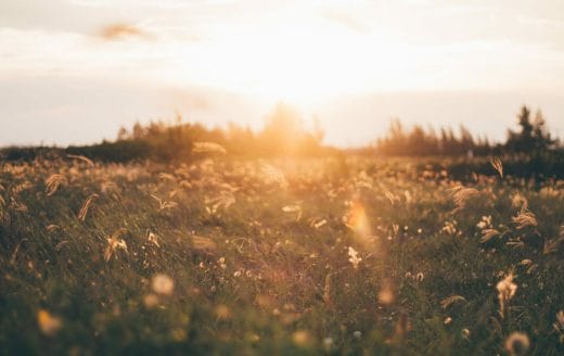 Link to the God’s Not Done post