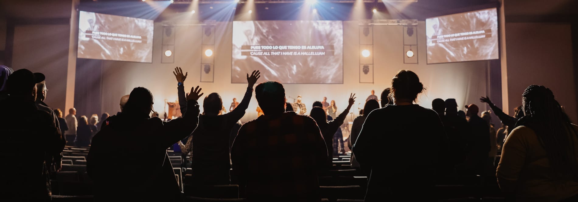 Decorative image for page header