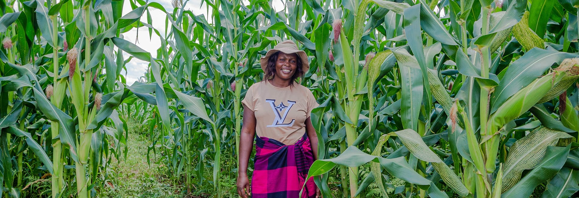 Decorative image for page header