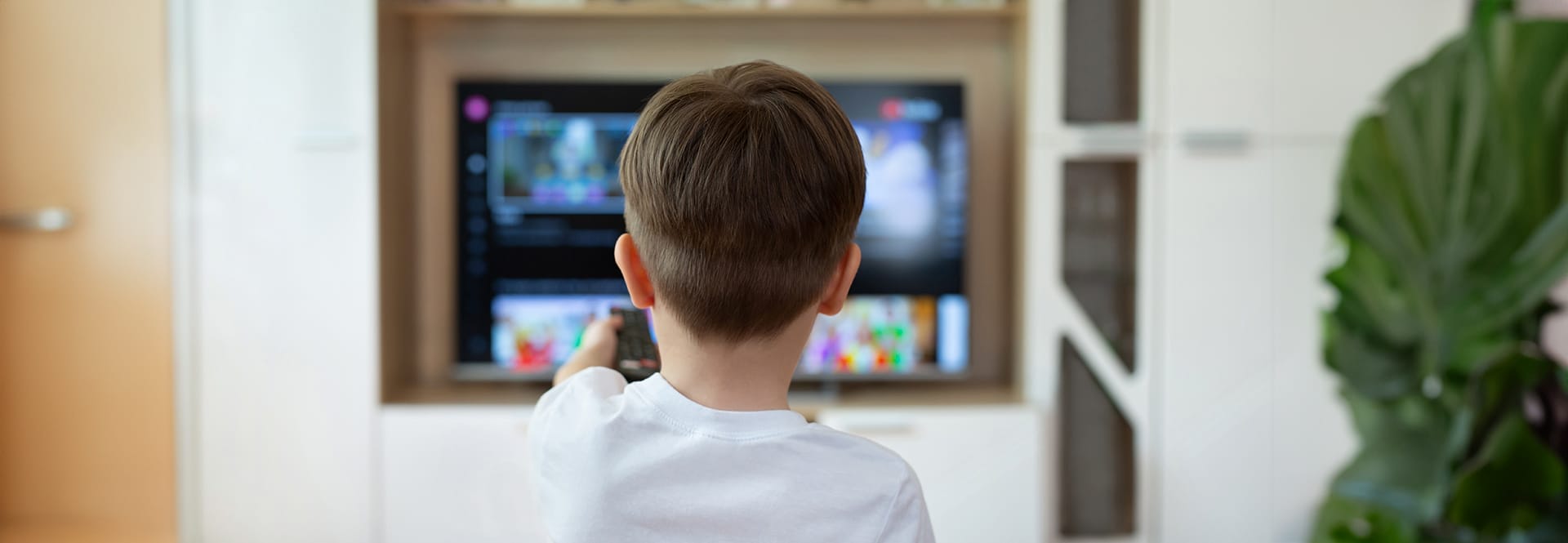 Decorative image for page header