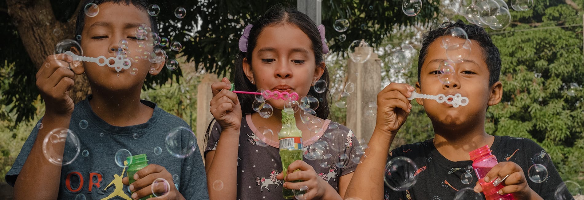 Decorative image for page header