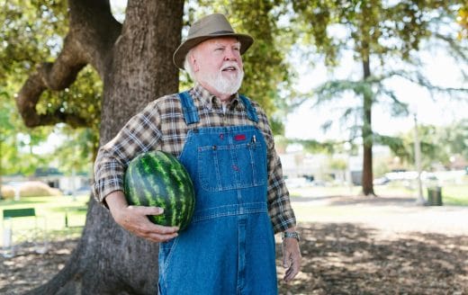 Link to the Psalms Within Each Moment post