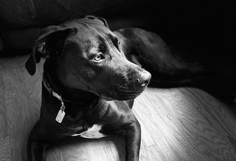 Link to the Duke post