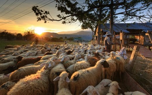 Link to the Be Shepherds Eager To Serve post