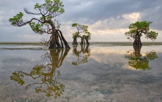 Link do wpisu Duch Święty poprowadzi nas do czystego sumienia