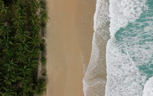 Enlace a la publicación del 2 de marzo